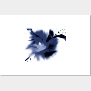 Abstract Magnolia Blossom In Blue Posters and Art